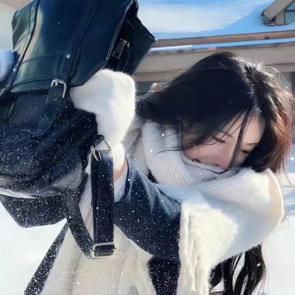 父子神探之卧雪图